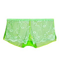 Green Lace Panty