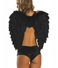 Dark Angel Wings