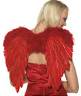 Devil Angel Wings