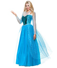 Adult Ice Queen Costume