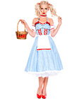Dorothy Doll Costume