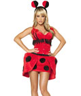 Adult Ladybug Costume