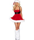 Santa Envy Christmas Costumes