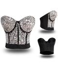 Silver Sequin Cover Bustier Top