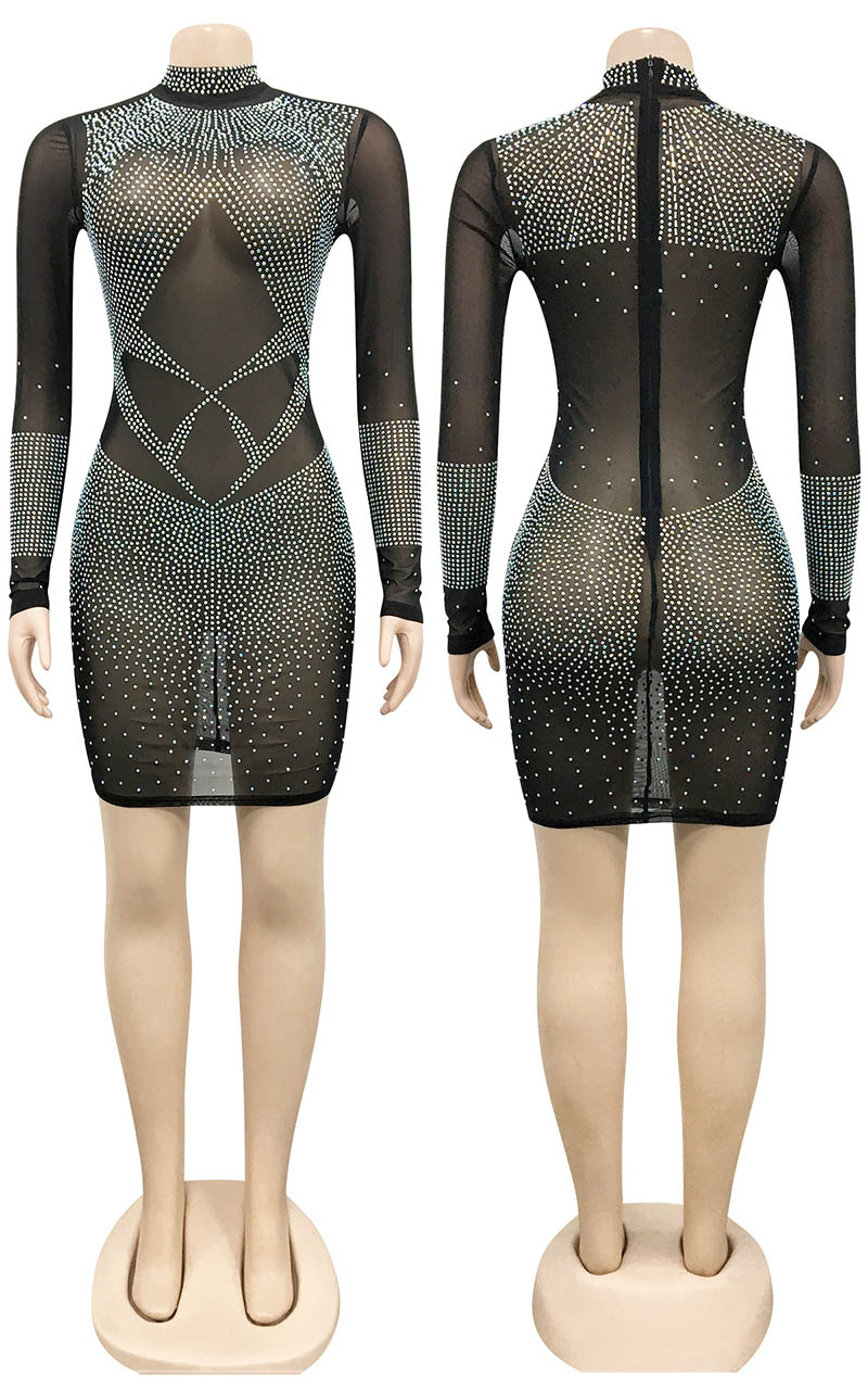 Translucence Mesh Bodycon Dress Black