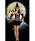 Bad Witch Costume