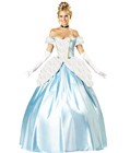 Elite Enchanting Princess Costume