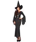 Wickedly Sexy Witch Costume