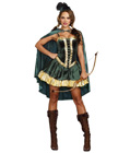 Fancy Robin Hood Costume