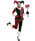 Regal Harlequin Costume