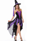 Deluxe Bewitching Beauty Costume