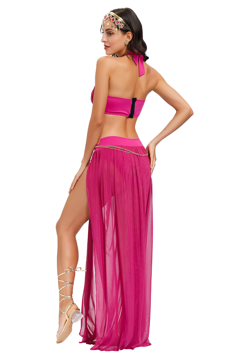 Arabian Dancer Costume