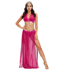 Arabian Dancer Costume