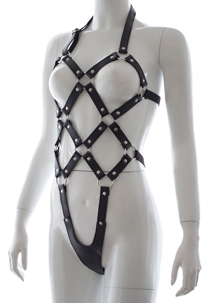 Full Body Harness Teddy