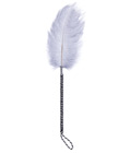 Flirting Feather Tickler