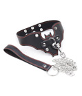 Bat Shape Collar & Leash Set