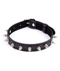 PU Leather Collar with Spikes