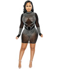 Translucence Mesh Bodycon Dress Black