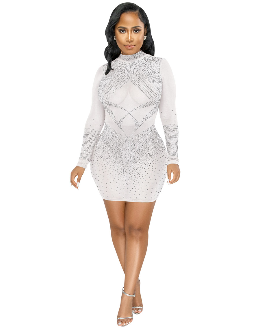 Translucence Mesh Bodycon Dress White