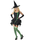 Dark Witch Costume