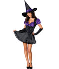 Sexy Adult Witch Costume