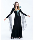 Evil Sorceress Costume