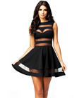 Black Mesh Panel Mini Dress